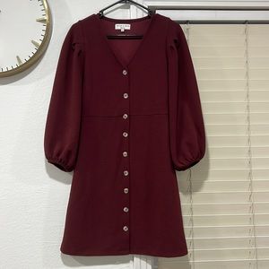 Madewell maroon button down dress